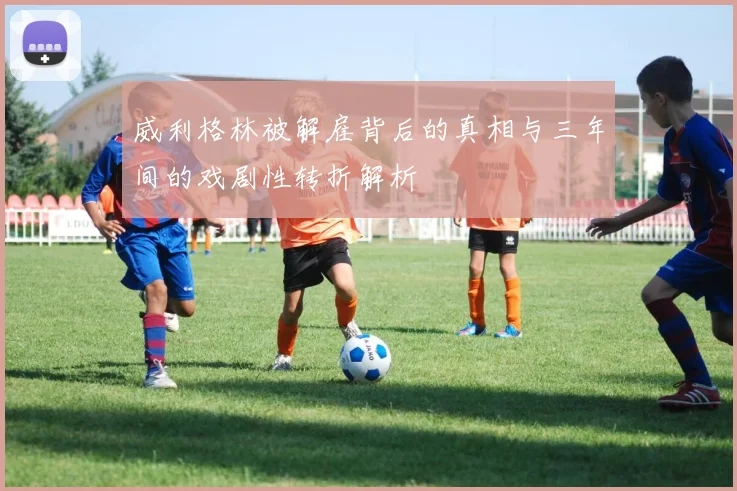 威利格林被解雇背后的真相与三年间的戏剧性转折解析