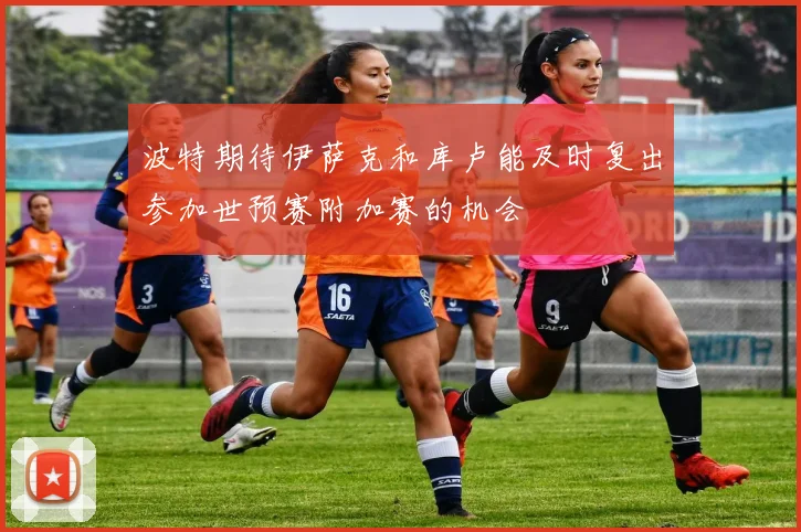 波特期待伊萨克和库卢能及时复出参加世预赛附加赛的机会