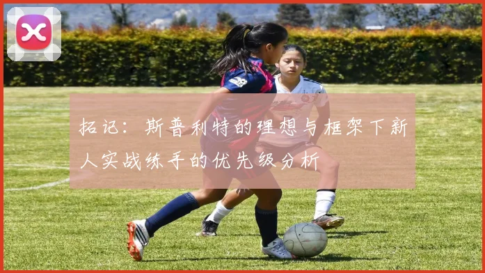 拓记：斯普利特的理想与框架下新人实战练手的优先级分析