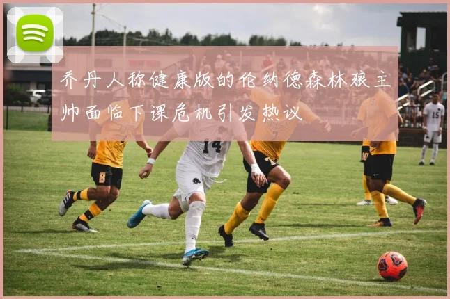 乔丹人称健康版的伦纳德森林狼主帅面临下课危机引发热议