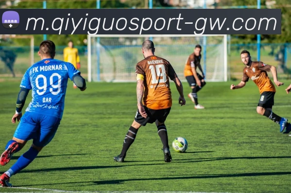 奇异果体育平台生态图